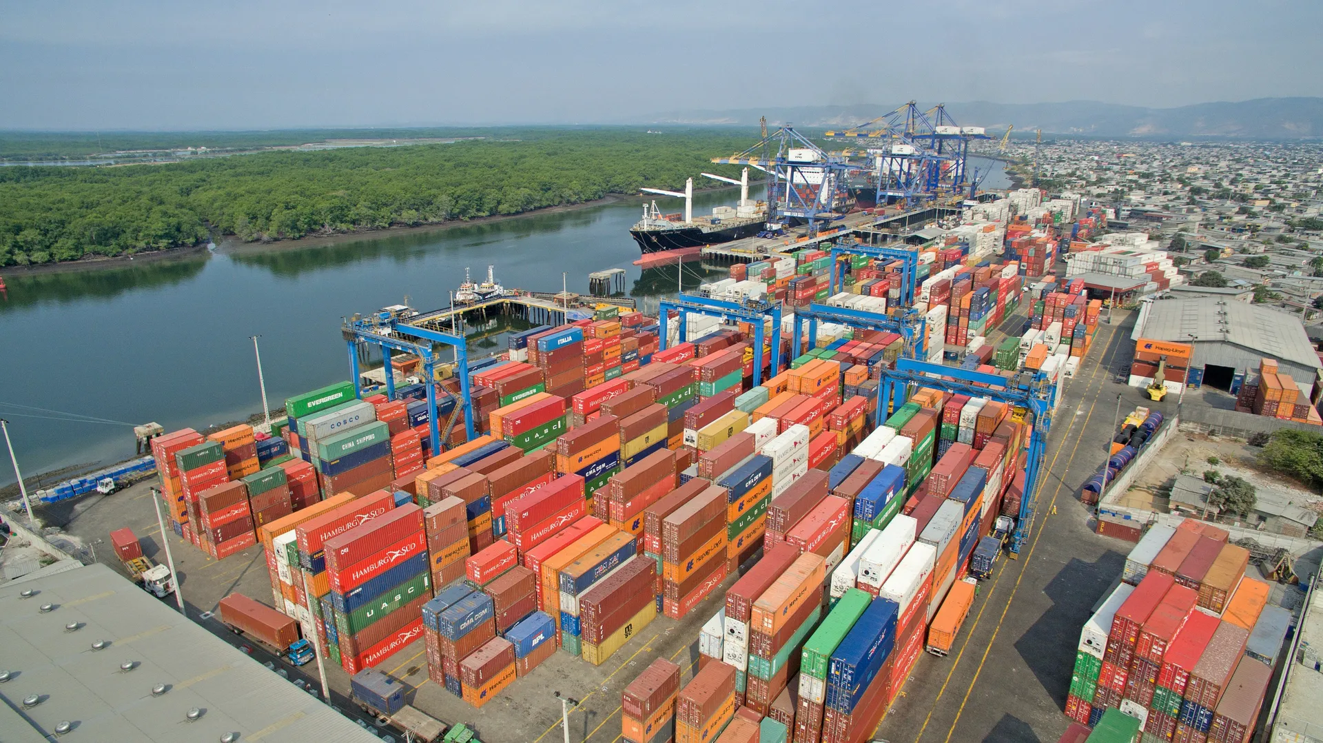Export-Oriented Units